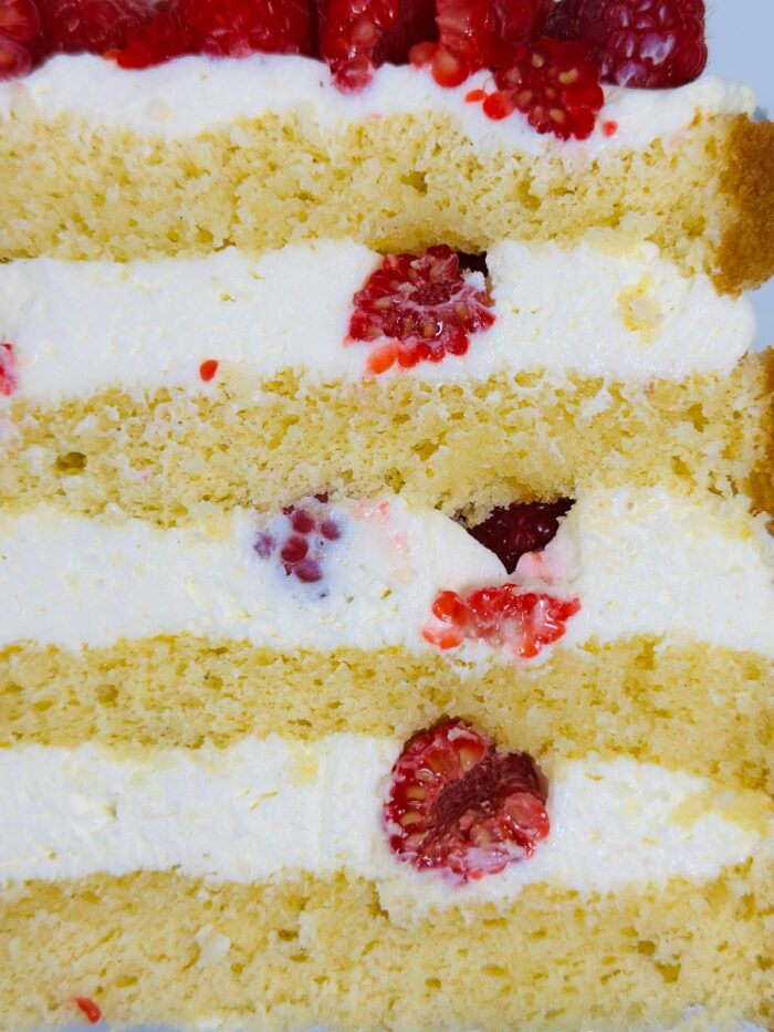 Vanilla Sponge - Imagen 2